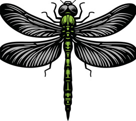 green dragonfly illustration