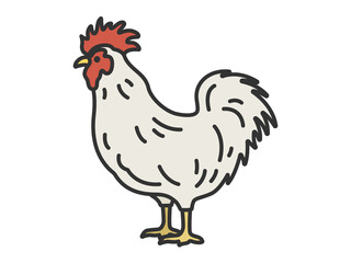 鶏（線画カラー）のイラスト