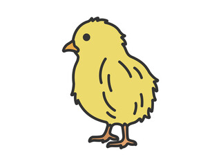 ヒヨコ（線画カラー）のイラスト