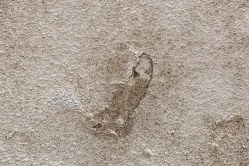 plastered walls texture of houses and cityscape