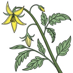 set of yellow flowers