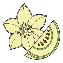 vector illustration of a flower