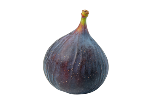 A perfectly ripe fig showcases its rich color and unique shape against a bright backdrop