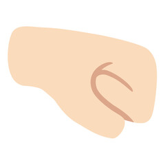 Right-Facing Fist: Light Skin Tone
