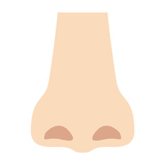 Nose
