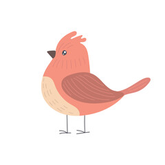 Cute cartoon bird with soft coral feathers, minimal style, round body, black beak, and white background perfect for nursery art and kids decor.