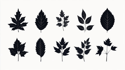 Collection of ten black leaf silhouettes with various shapes on a plain white background surface.