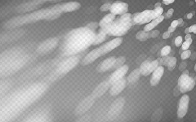 Abstract shadow overlay from foliage on a transparent background.