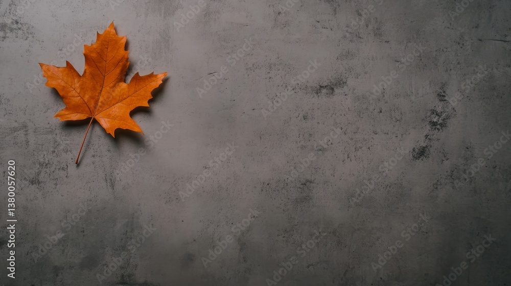 Aufkleber a single orange maple leaf rests on a textured gray concrete surface, casting soft shadows that enha