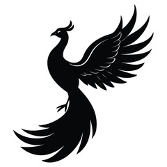 Obraz premium peacock bird silhouette vector art illustration 