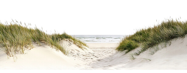Tranquil sandy path through grassy dunes toward the ocean, isolated on transparent cutout background