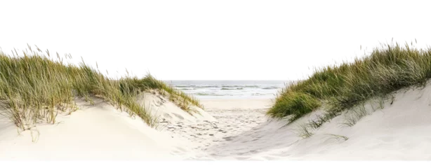 Peel and stick wall murals Tranquil sandy path through grassy dunes toward the ocean, isolated on transparent cutout background