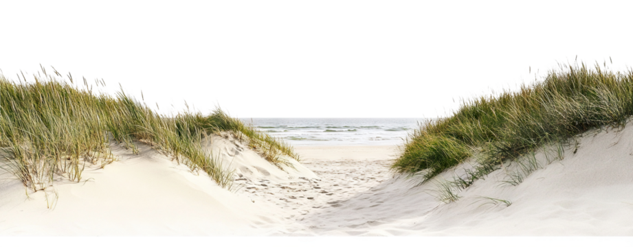 Tranquil sandy path through grassy dunes toward the ocean, isolated on transparent cutout background - Powered by Adobe