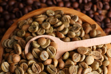 Green and Roasted Coffee Beans in a Wooden Bowl with Wooden Spoon with copy-space