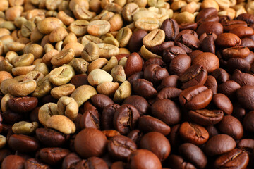 Contrast of Green and Roasted Coffee Beans in a Close-Up View