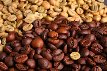 Raw Green Coffee Beans and Roasted Beans in a Detailed Close-Up