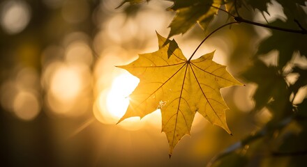 Fototapeta premium Golden Hour's Embrace AI Generated