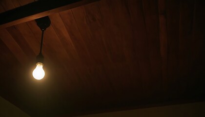 A dark room with a light on the ceiling and a light on the ceiling,shadow, hanging, blank, ceiling, dark, 3d, agent, backgrounds, concert, 9