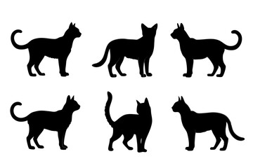 set of Russian Blue Cat silhouette vector illustration