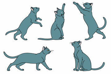set of Russian Blue Cat silhouette vector illustration