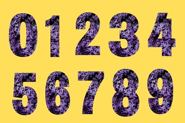 Spring flowers NUMBERS from  0 to 9. Spring flowers NUMBERS from  0 to 9 illustration vector. Spring Numbers 