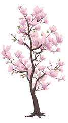 Naklejka premium Pink magnolias in full bloom - elegant floral tree illustration flat vector illustration
