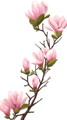 Fototapeta premium Elegant pink magnolia branch with blossoms and buds isolated on white background flat vector illustration
