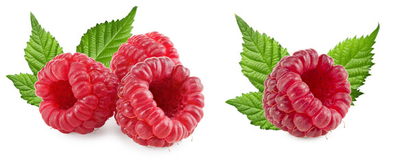 ripe raspberries with green leaves isolated on white background. clipping path