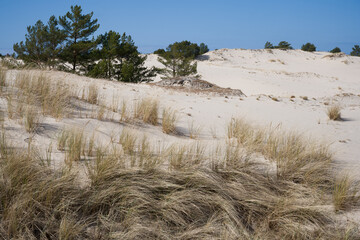 Słowinski National Park Sand Dunes, Poland