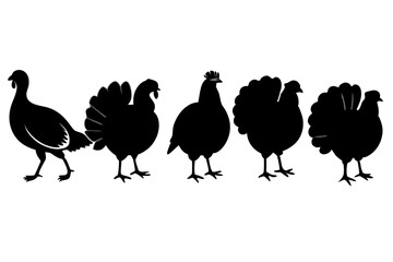 set of Turkey silhouette vector illustration