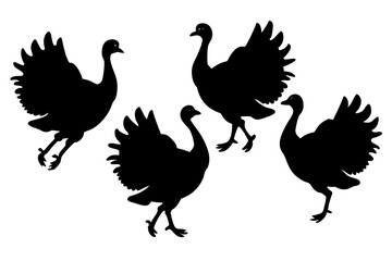set of Turkey silhouette vector illustration