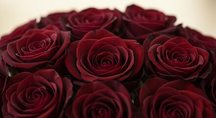 Obraz premium Crimson Bloom's Embrace AI Generated