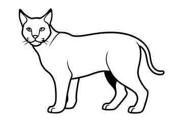 Lynx Cat silhouette vector illustration