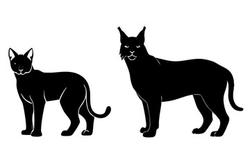 Lynx Cat silhouette vector illustration