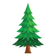 Fototapeta premium fir tree vector