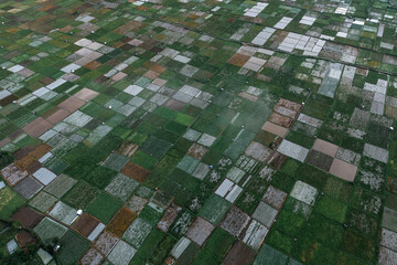 Aerial View - Sembalun Lawang, Lombok Indonesia
