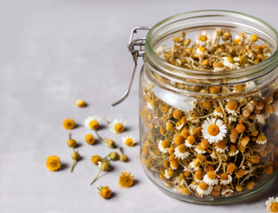 Medicinal herb chamomile dried. Dry chamomile flowers in a jar. Herbal tea from flowers.