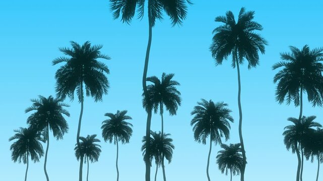 Looping background animation of silhouetted palm trees with a smooth parallax tracking shot against a vibrant blue sky
