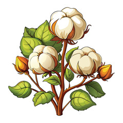 cotton flower and leaves