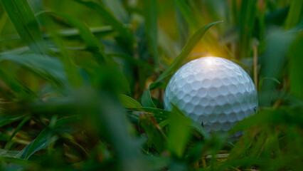 Golf ball is in the hazard area of the course. Golf ball is on tee at green lawn in a beautiful golf course.
