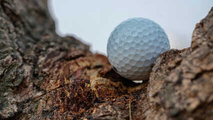 Golf ball is in the hazard area of the course. Golf ball is on tee at green lawn in a beautiful golf course.
