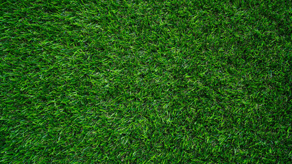 Obraz premium Green grass background, top view background of garden bright grass concept used for making green backdrop.