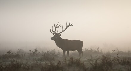 Obraz premium Misty Majesty AI Generated