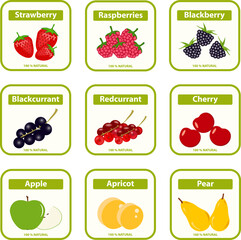 Juice labels, jam and juice labels isolated on white background. Set of realistic labels with berries and fruits. Background image, poster, web banner, vector illustration.