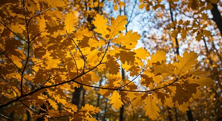 Fototapeta premium Golden Canopy's Embrace AI Generated