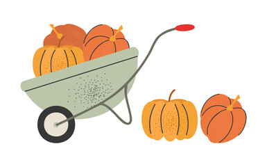 Wheelbarrow with pumpkin harvest. Harvesting.