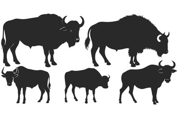 set of Buffalo silhouette vector illustration