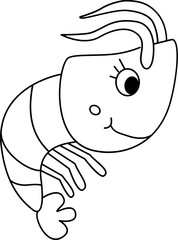  Shrimp illustration.