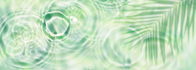 fresh light green water surface with drop circles and palm leaf shadow from above, abstract sunny liquid background banner for beach holiday, beauty spa or body care
