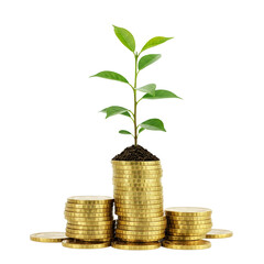 Green plant sprout growing from soil atop a stack of gold coins isolated on a transparent background, png image, symbolizing growth, investment, and financial success